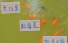 中超強(qiáng)隊(duì)，米內(nèi)羅申花C位，前鋒穩(wěn)虐，實(shí)力合格。