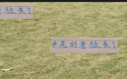 金順凱艾迪挑戰，申花奧特曼能否助年輕人勝出？