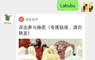 中國(guó)足協(xié)終止伊萬主帥合作