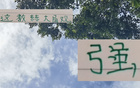 強觀大局！國安主帥輪換險致敗，但優于一成不變陣容。