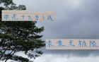 申花19歲小將國(guó)家隊(duì)表現(xiàn)亮眼，聯(lián)賽進(jìn)3球，超越米內(nèi)羅。