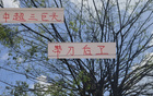 中超三巨頭現役，誰為真刀鋒？海港張琳芃，申花蔣圣龍。
