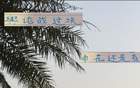 事出反常，申花老謀深算，勝后申訴，輿論戰(zhàn)必妖！簡短精煉。
