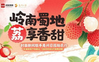 國足行李多疑，開箱解惑封面評