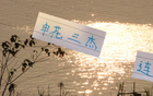 申花三杰連發(fā)，俄帥壓力倍增！