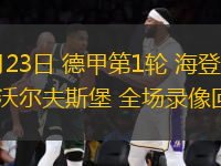 08月23日 德甲第1輪 海登海姆vs沃爾夫斯堡 全場(chǎng)錄像回放