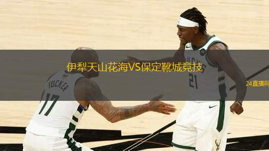 伊犁天山花海VS保定靴城競技