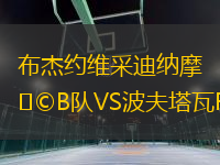 布杰約維采迪納摩B隊VS波夫塔瓦FA