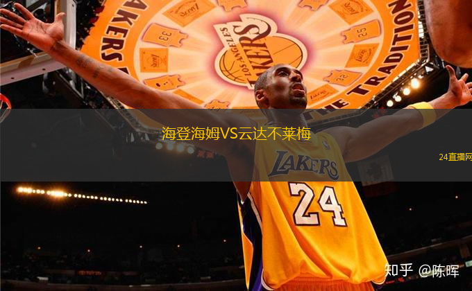 海登海姆VS云達不萊梅