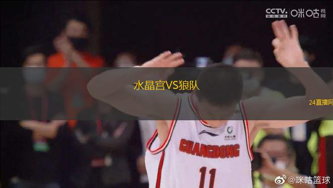 水晶宮VS狼隊