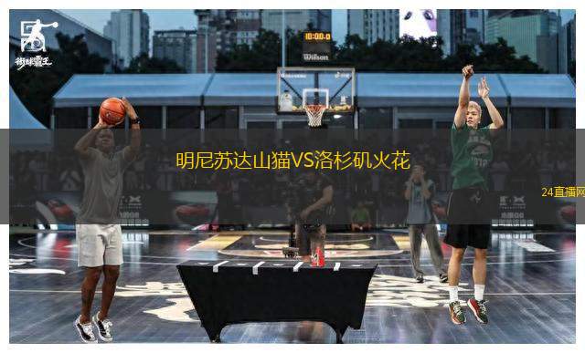 明尼蘇達山貓VS洛杉磯火花