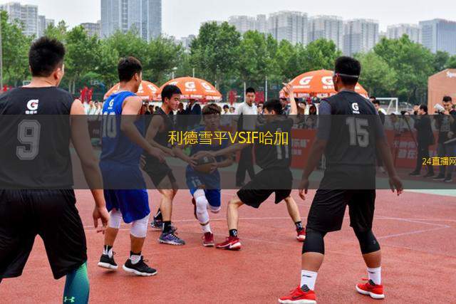 利德雪平VSIF哈加
