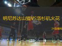 明尼蘇達山貓VS洛杉磯火花