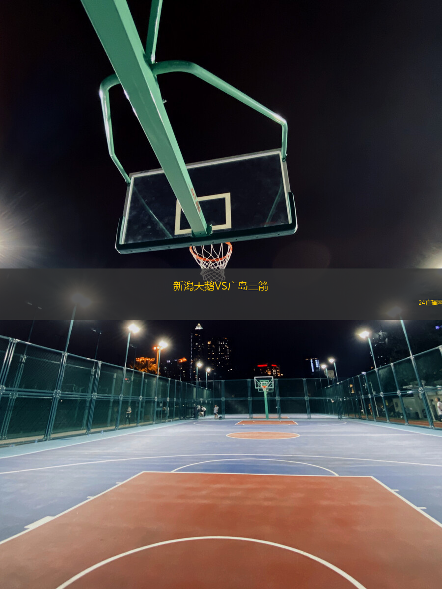 新潟天鵝VS廣島三箭