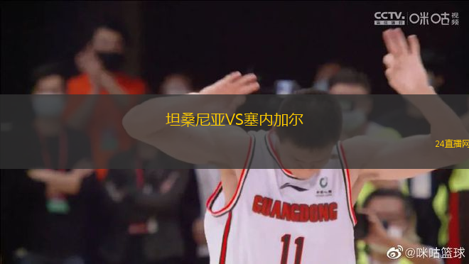 坦桑尼亞VS塞內加爾