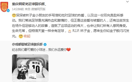 重慶銅梁龍悼念去世小球迷:愿來生你如金子般閃閃發光